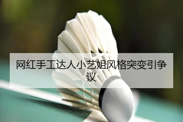 网红手工达人小艺姐风格突变引争议